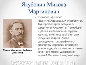 Слайд10