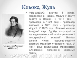 Слайд103
