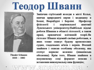 Слайд1