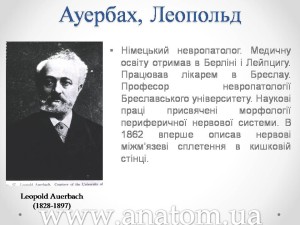 Слайд21