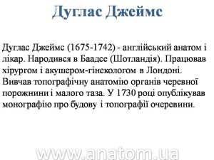 Слайд22
