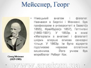 Слайд23