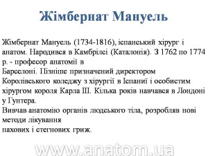 Слайд24