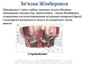 Слайд25