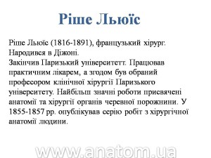 Слайд28