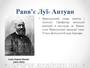 Слайд3
