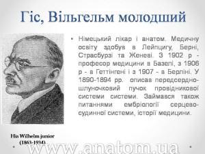 Слайд38