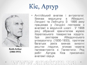 Слайд40