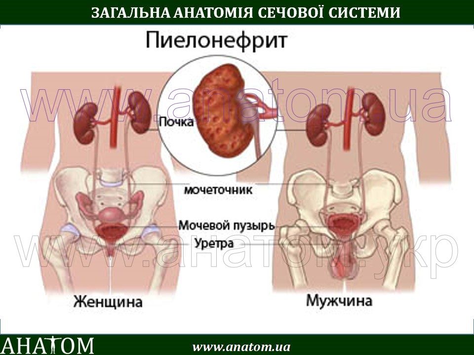 Клиники россии по лечению болезни бехтерева