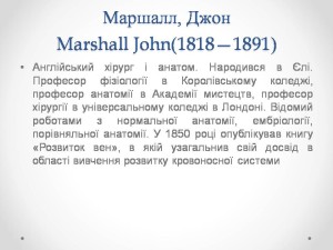 Слайд48