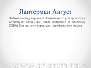 Слайд5