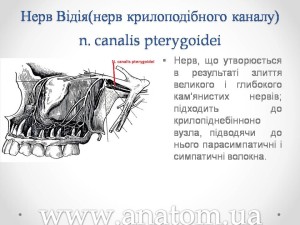 Слайд57