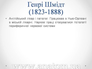 Слайд6
