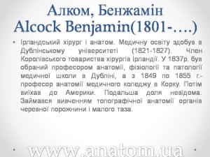 Слайд64