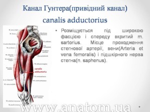 Слайд69