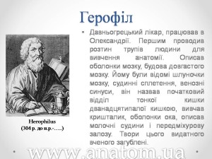 Слайд70