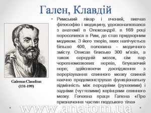 Слайд72