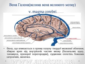 Слайд73