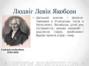 Слайд8