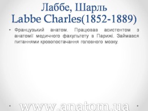 Слайд81