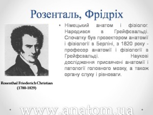Слайд83
