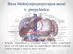 Слайд86