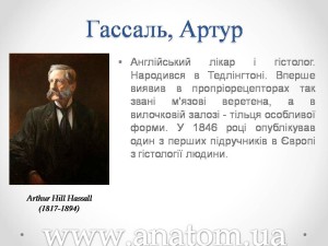 Слайд94