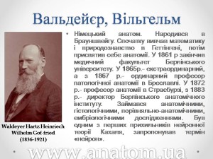 Слайд96