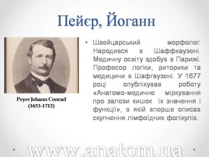 Слайд98